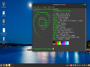 Cinnamon Linux Mint LMDE 5